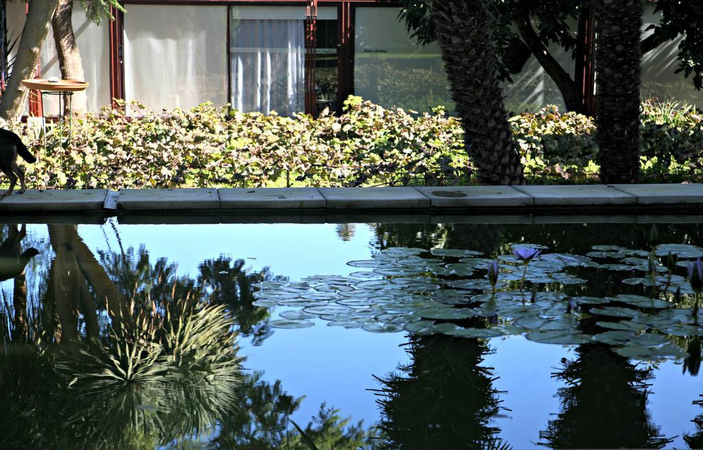 טקורונטה Hotel Emblematico Casa Casilda מראה חיצוני תמונה