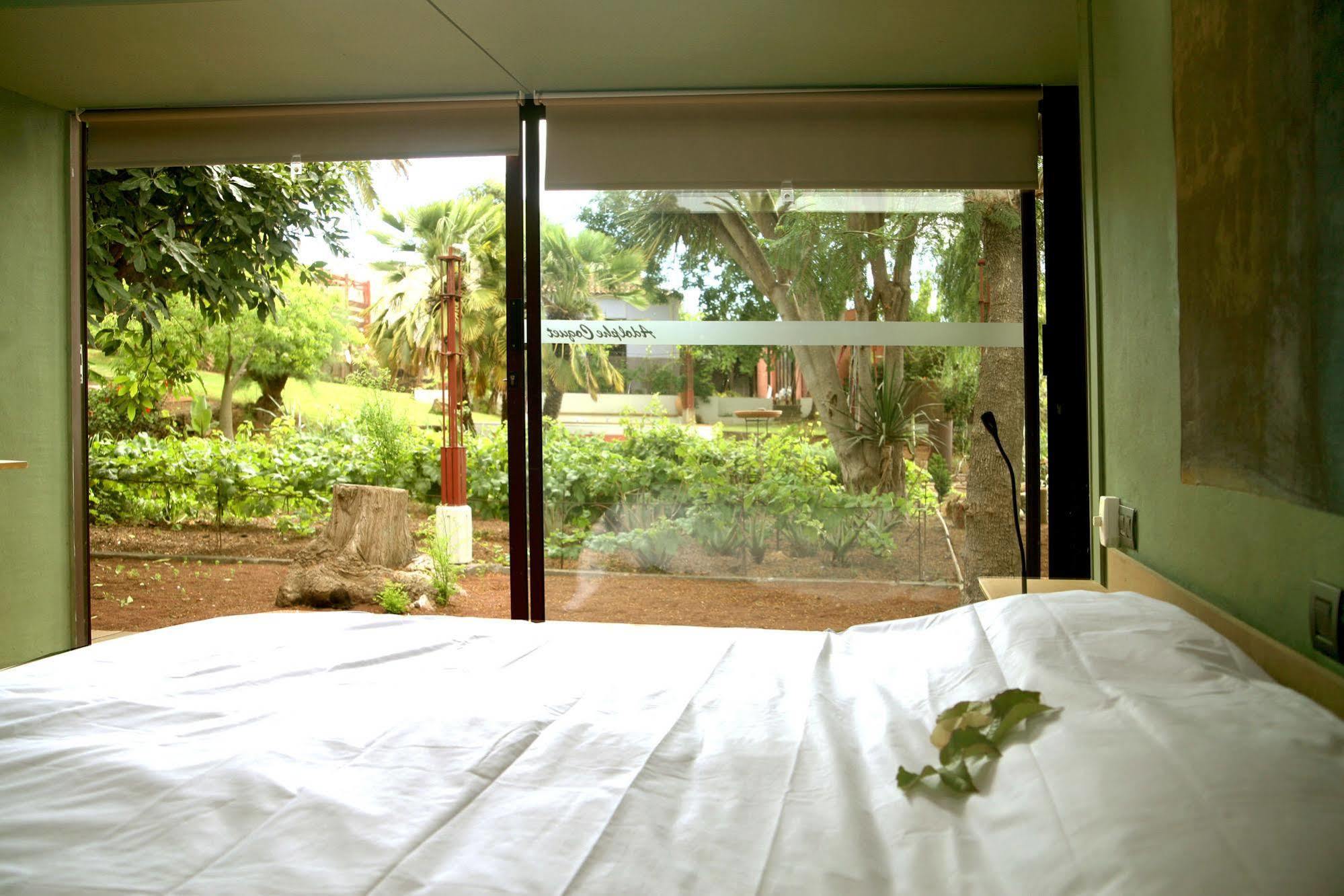 טקורונטה Hotel Emblematico Casa Casilda מראה חיצוני תמונה
